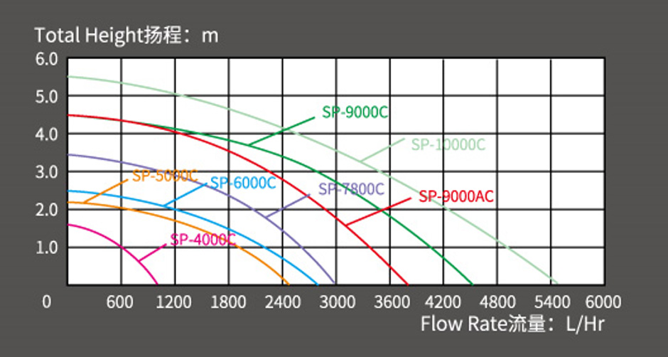 d4-5000.jpg
